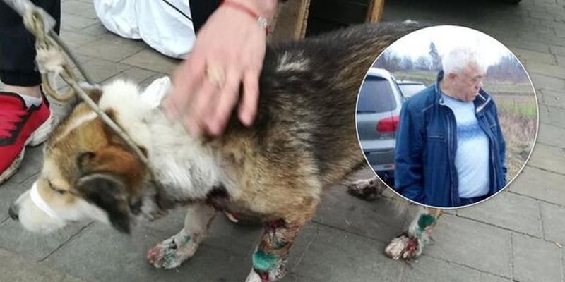 В Хмельницкой области чиновник привязал к автомобилю и протащил по дороге собаку