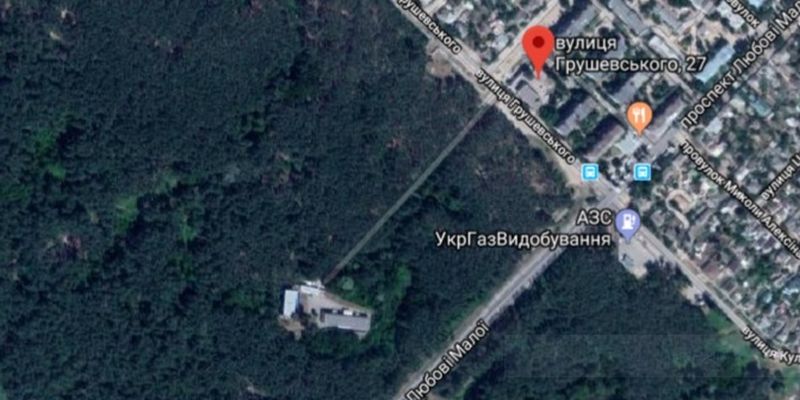 Возле леса в Харькове нашли полуголой мертвую женщину: раскрыты необычные подробности