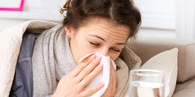 Ароматы липы и эвкалипта благотворно воздействуют на легкие во время эпидемий гриппа - медик