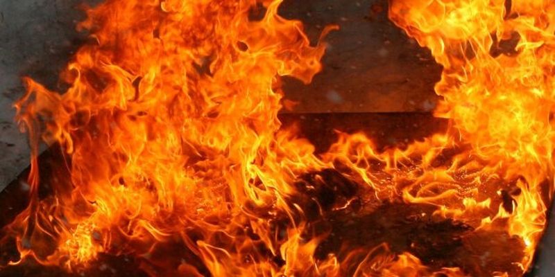 Ребенок с бабушкой сгорели заживо в Запорожской области: «мама была на сутках», подробности трагедии