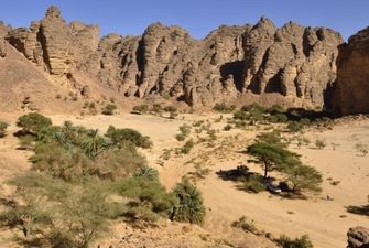 Искусственный интеллект нашел в пустыне Сахара около 2 миллиардов деревьев