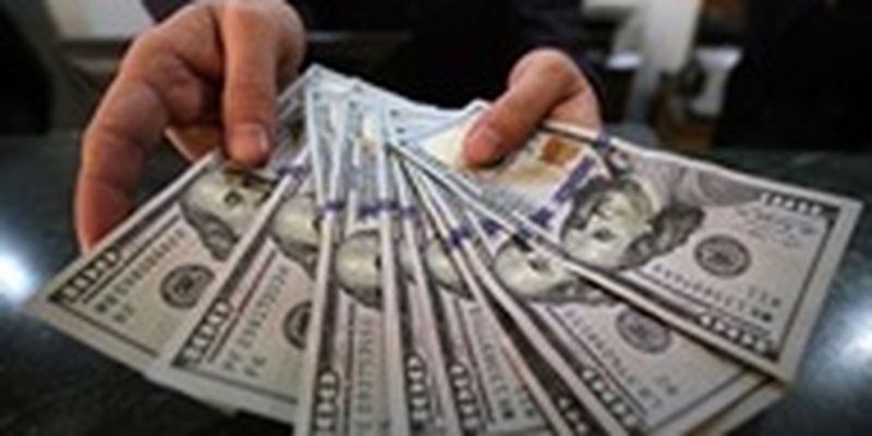 Объем наличной иностранной валюты вырос на $8 млрд - Данилишин