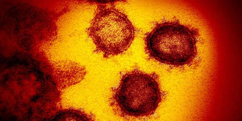 Эпидемиолог назвал панацею от злого китайского вируса