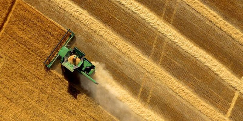 Земельный вопрос в Украине: по сельскому хозяйству будет нанесен главный удар