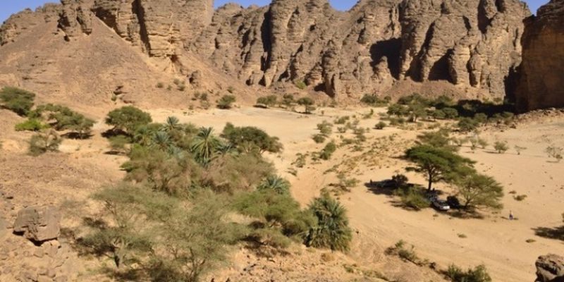 Искусственный интеллект нашел в пустыне Сахара около 2 миллиардов деревьев