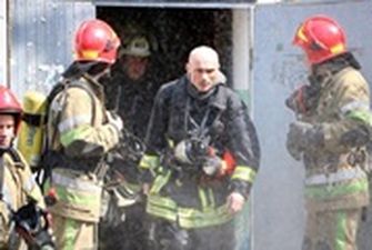 В Запорожской области при пожаре погибли сотни поросят