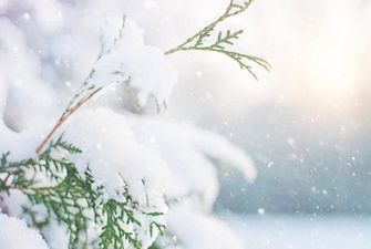 Снег и морозы с оттепелью: прогноз народного синоптика на следующий зимний сезон