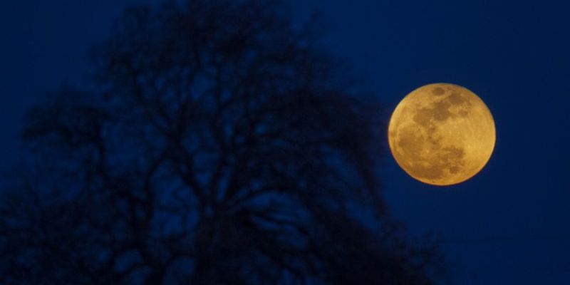 Лунное затмение 5 июня: сегодня спутник Земли приобретет необычный цвет
