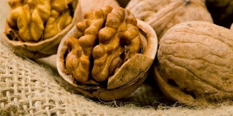 Виявлено користь волоських горіхів для серця і кишечника