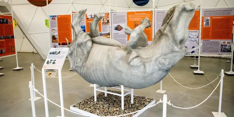 На Прикарпатті презентували копію волохатого носорога, який жив 40 тисяч років тому