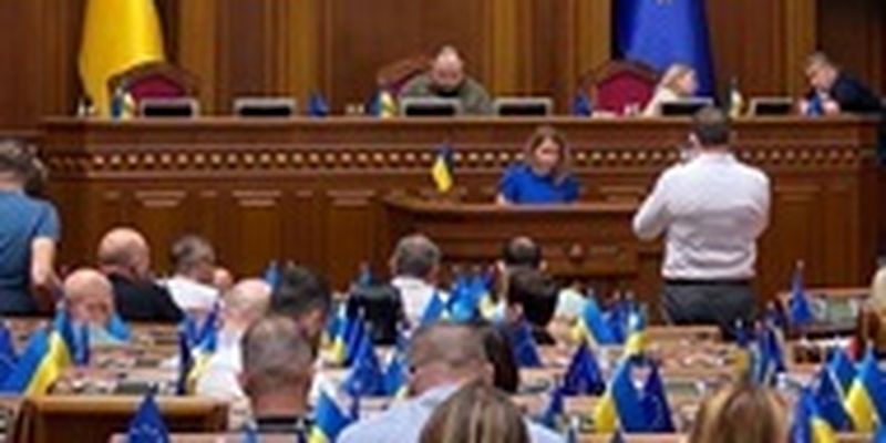 Рада назначила нардепа Совгирю судьей КСУ