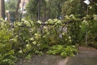 Пожар в музее и деревья на дорогах: непогода наделала немало беды в Киеве и области, фото и видео