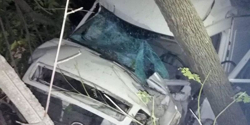 На Донеччине грузовик сбил на смерть пешехода и въехал в дерево