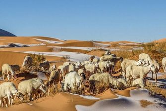 Морозы добрались до пустыни: в Сахаре выпал снег, фото  