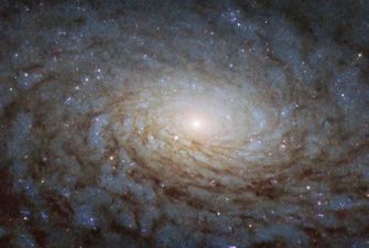 NASA показало снимок галактики NGC 4380, похожей на другое измерение