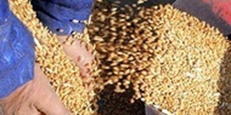 Оккупанты вывозят украденное украинское зерно через порты Крыма - ЦНС