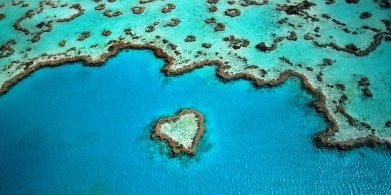 Большой Барьерный риф в опасности из-за изменений климата - ЮНЕСКО
