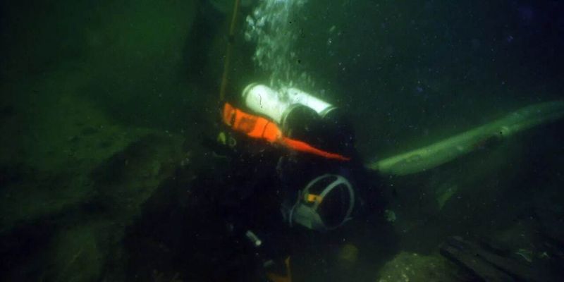 Из Гданьска в Брюгге. Какой груз нашли археологи на 600-летнем затонувшем корабле