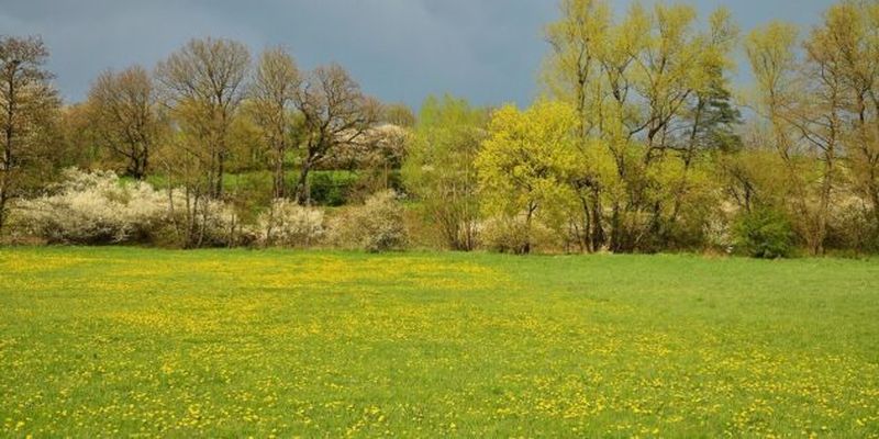Местами с дождями, однако очень тепло: прогноз погоды в Украине на апрель