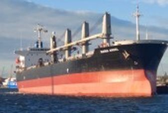 Експорт неможливий: через блокування "зернового коридору" з порту України не вийшло судно