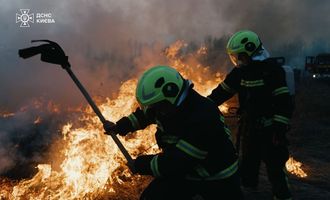 Как спасатели в Киеве ликвидировали масштабный пожар в экосистемах: появились фото и видео