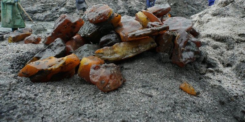 Закон о легализации добычи янтаря не остановит «янтарную лихорадку» - экономист
