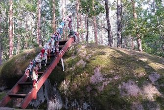 Полесский Стоунхендж и дикий мед: Олевская ОТГ развивает экскурсионный туризм