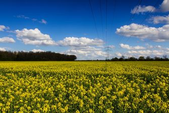ЄС очікує завершення земельної реформи в Україні