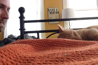 Хозяин отомстил коту, нагло будившему его каждое утро
