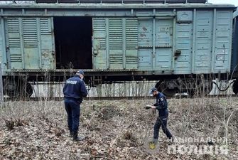 Селфи на крыше поезда: в Черниговской области подросток умер от удара током