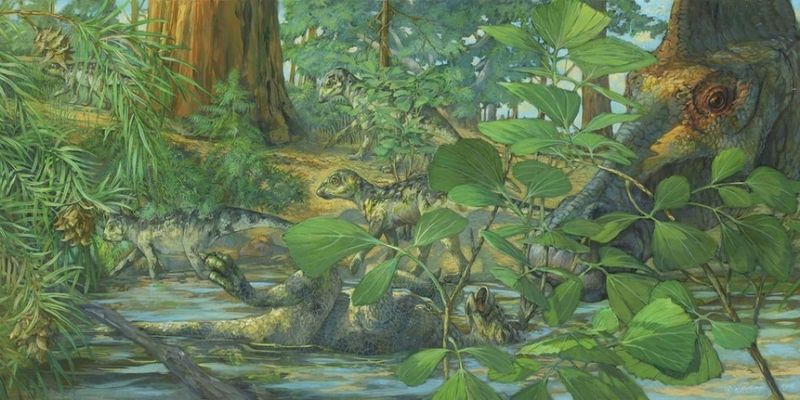 Ученые обнаружили "удивительные отличия" в том, как разные динозавры ели растительную пищу