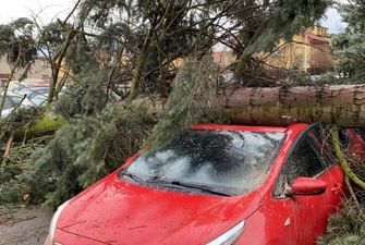 По Чехии пронесся ураган: обесточены 15 тысяч домов