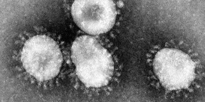 Случаев коронавируса 2019-nCoV уже более шести тысяч — Минздрав
