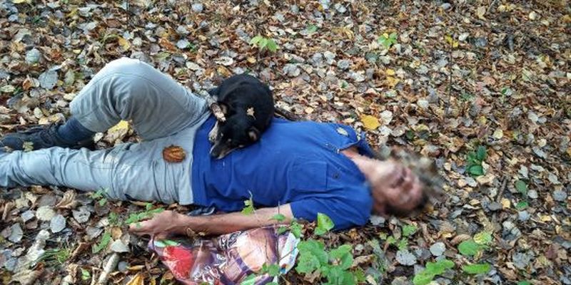 На Закарпатті завдяки гучному гавкіту собака допоміг врятувати життя своєму господареві