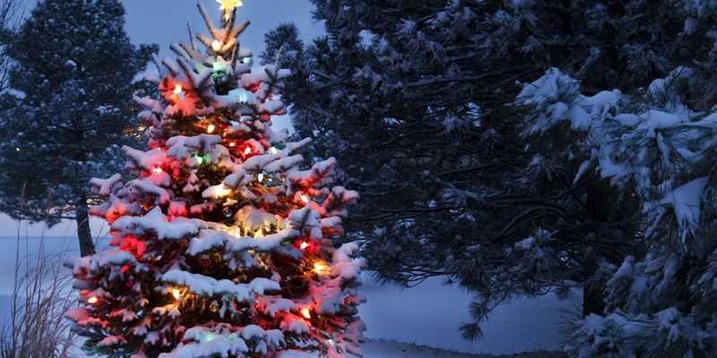 На Старий Новий рік в Україні вдарять майже 20-градусні морози - синоптик