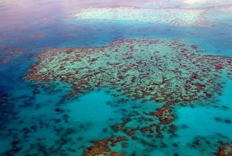 Большой Барьерный риф оказался в опасности из-за климатических изменений