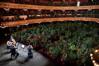 Опера Барселони зіграла концерт для 2 292 квітів: їх подарують медикам