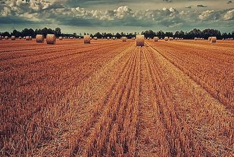 Украина почти на треть нарастила экспорт зерновых