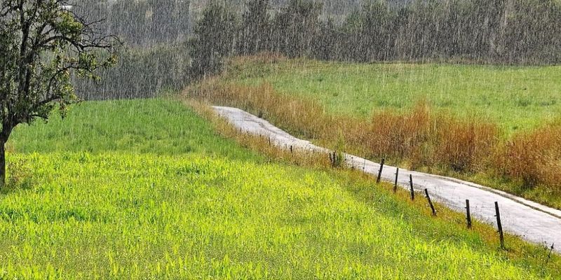 20 минут дождя: Румынию затопило после сильного ливня