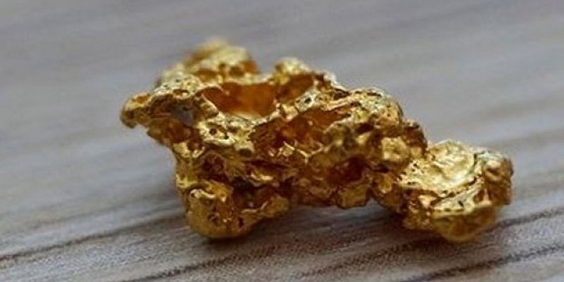 Фирмы отца нардепа из «Слуги народа» с нарушением получили спецразрешения на добычу тантала и золота