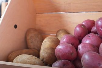 Эксперты объяснили, почему держатся высокие цены на картофель