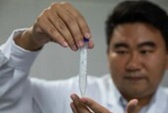 Китайські вчені вперше синтезували крохмаль з вуглекислого газу