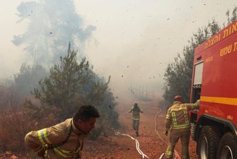 В Израиле вспыхнули лесные пожары, началась эвакуация