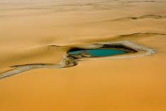 Ученые обнаружили в пустыне Сахара останки древнейшей рыбы