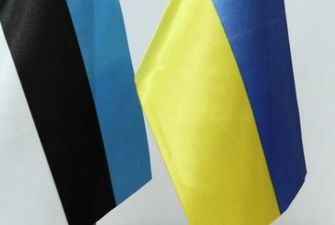Эстония продолжит тренировочные программы для ВСУ - Резников