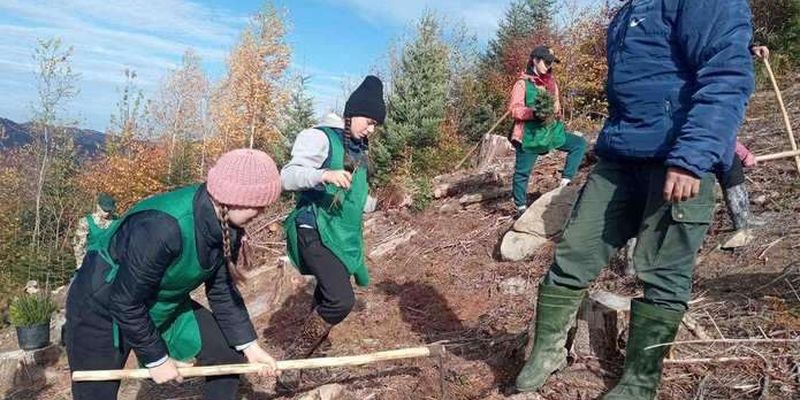 Завершили весняну лісокультурну кампанію на Буковині