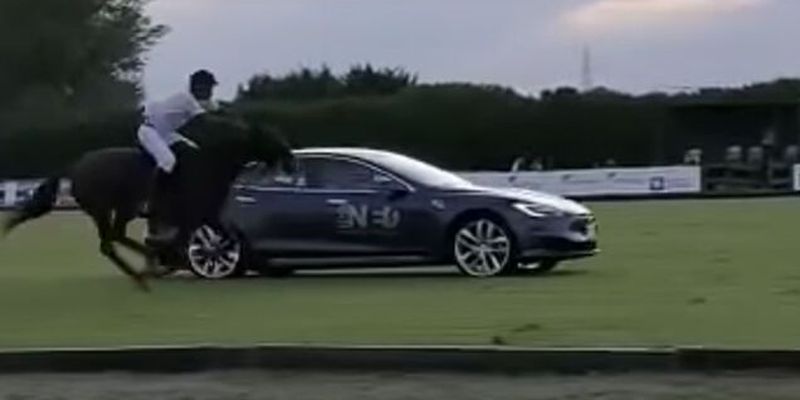 Tesla Model S сразилась в гонке с лошадью: неожиданный финал