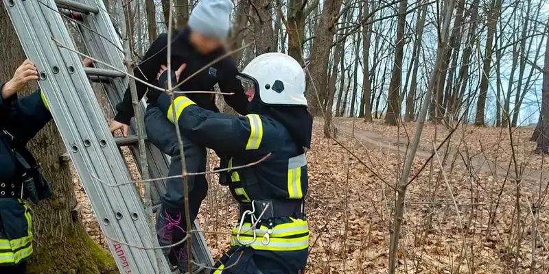 Во Львовской области спасли ребенка, который застрял на дереве