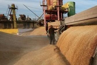 Украина экспортировала 12,9 млн тонн зерна