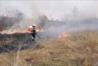 За добу на Буковині сталися 6 пожеж, більшість з них – через спалювання сухої трави